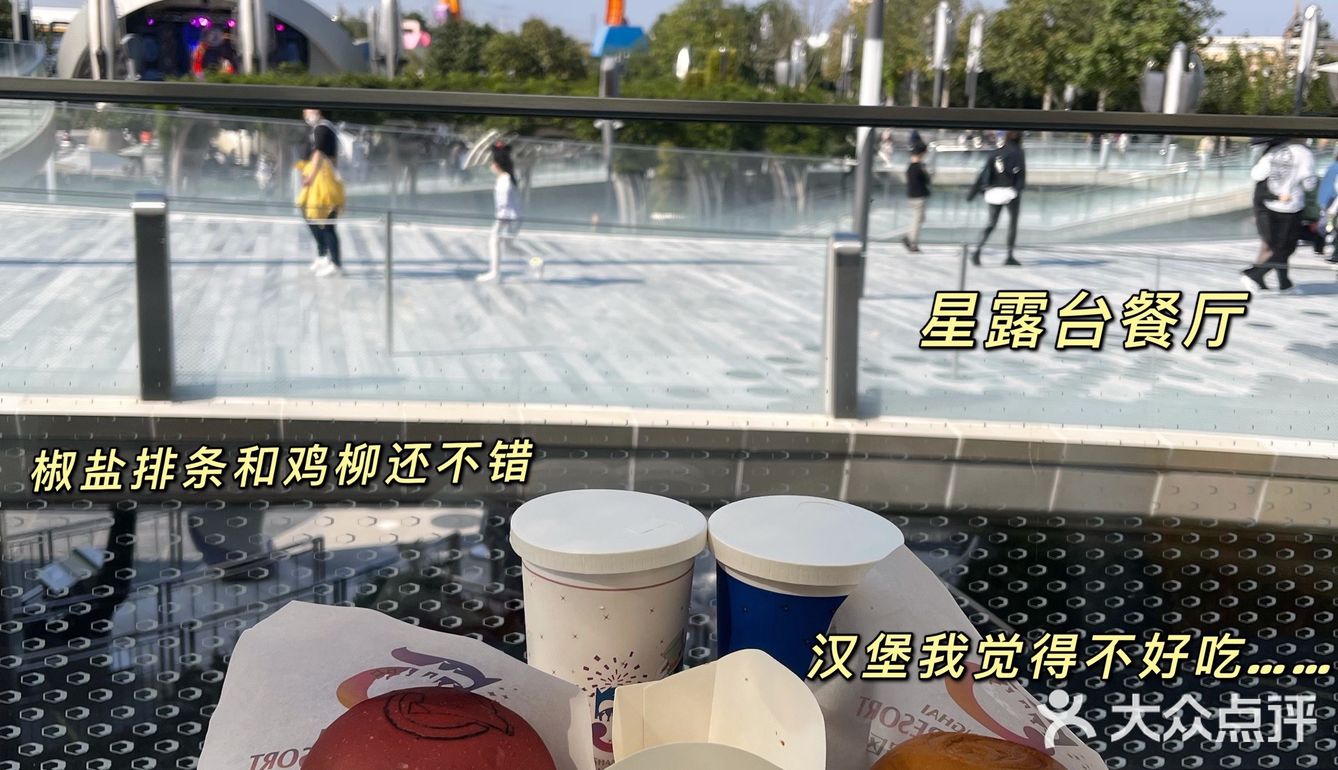 上海迪士尼｜不用带脑💰30元玩遍所有项目🥳