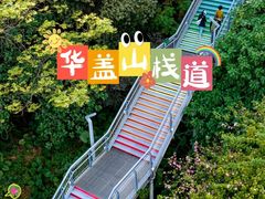 -佛山华盖山公园