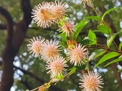 -玄武湖景区-情侣园游乐场