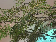 -新发现(苏州中心商场店)