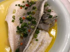 非一般的鲈鱼-港丽餐厅(高德置地店)
