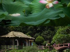 -广州莲花山旅游区