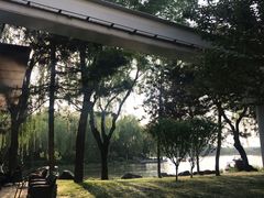 -西安曲江寒窑遗址公园