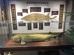 -胖姐渔村(中源大道店)