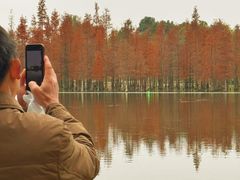 -白鹭湾湿地公园
