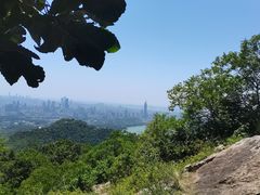 -紫金山山顶公园