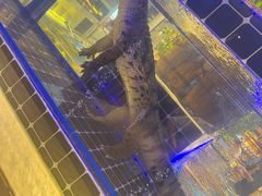 -川骄海鲜自助(河东店)