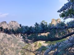 -黄山风景区