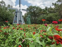 -黑龙江省森林植物园