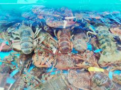 -港畔赶海蒸汽海鲜烧烤自助(仙螺岛店)
