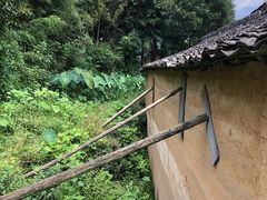 -杨家堂村