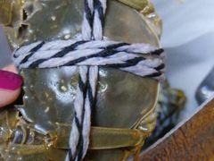 -乡乐园蟹庄·阳澄湖农家乐