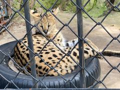 -大连森林动物园