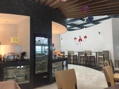 -虹桥机场国航贵宾室v8