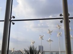 -Seesaw Coffee(朝阳大悦城店)