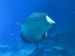 -珠海长隆海洋王国