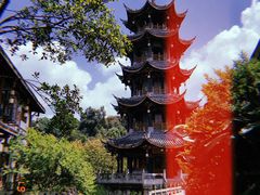 -小向麻辣烫(天街总店)