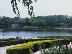 -北坞公园