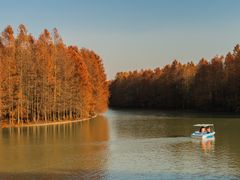 -上海海湾国家森林公园