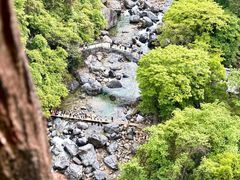 -石台牯牛降景区