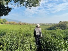 -敬亭山风景名胜区