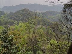 -南山植物园