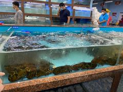 水产区-渔人湾码头海鲜市场负二楼