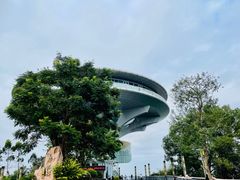 -神光山国家森林公园