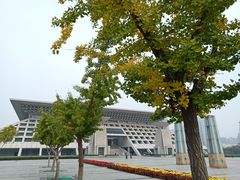 -安阳博物馆