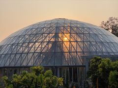-深圳仙湖植物园