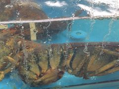 -双福水果批发市场