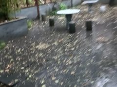 -故乡缘·香格里拉山庄(冷竹路店)