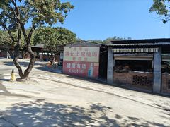 -满記土窑烧鷄波浪山莊