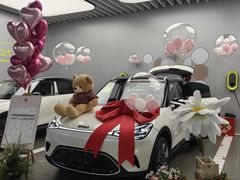 -上海浦东smart汽车全功能店(金桥店)