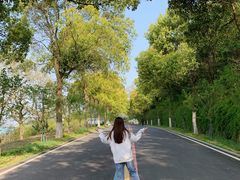 -南京金牛湖风景区