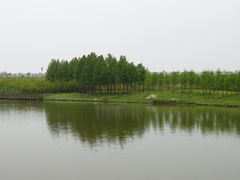 -合肥滨湖国家森林公园