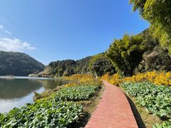 -广州市石门国家森林公园