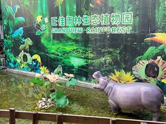 -正佳雨林生态植物园
