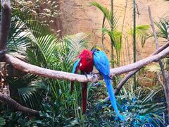 -杭州开元森泊度假乐园