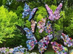 -上海共青森林公园