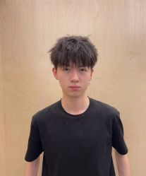 -YESIDO椰岛造型