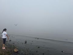 -黑石礁公园