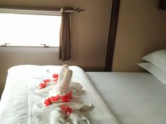 -汤山温泉房车营地 茶温泉