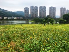 -龙江公园