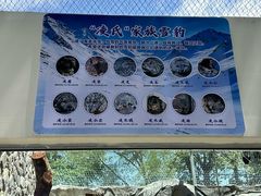 -青藏高原野生动物园