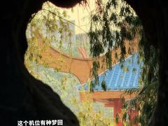 -金砂公园