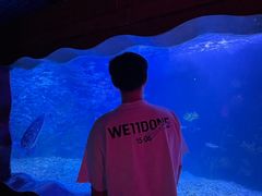 -中央电视塔旋转餐厅
