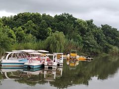 -南湖湿地公园
