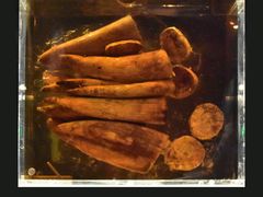 -金沙遗址博物馆
