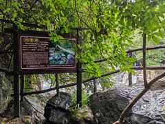 -石台牯牛降景区